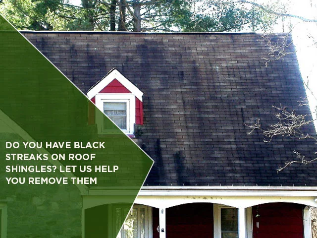 Do You Have Black Streaks On Roof Shingles? Let Us Help You Remove Them