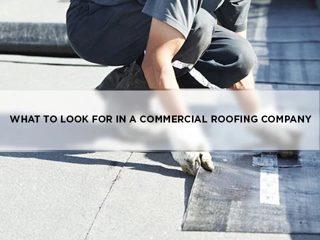 What To Look For In A Commercial Roofing Company