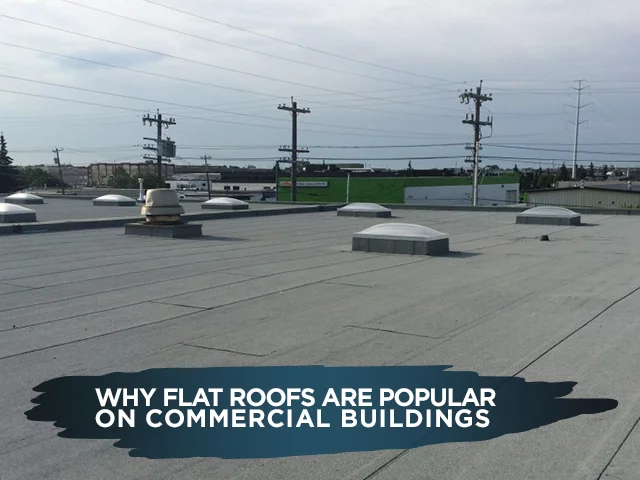Why Flat Roofs Are Popular on Commercial Buildings